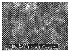 Preparation method of cigarette absorption type flavor compensation material