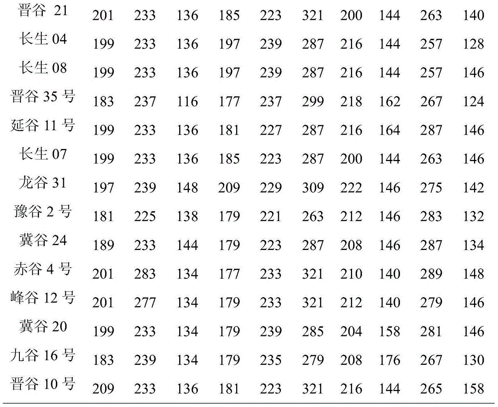 Group of SSR markers for differentiating millet varieties as well as application of markers