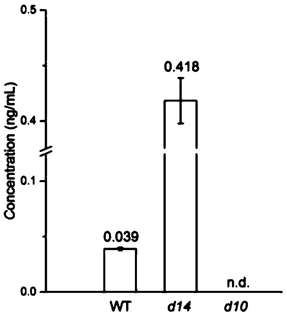 A fully automatic online SPE-LC-MS/MS method for the quantitative analysis of endogenous strigolactones in plant samples