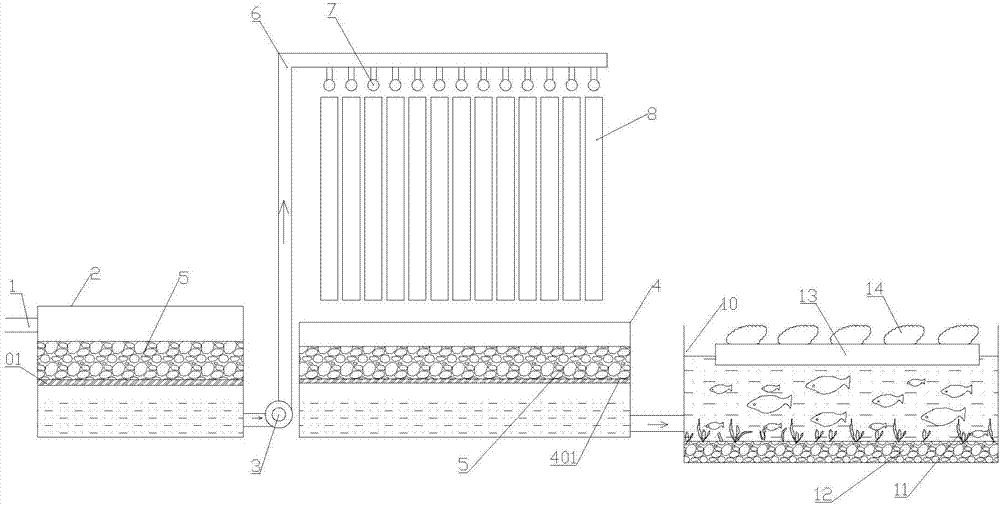 Sewage plantation and breeding purification treatment system