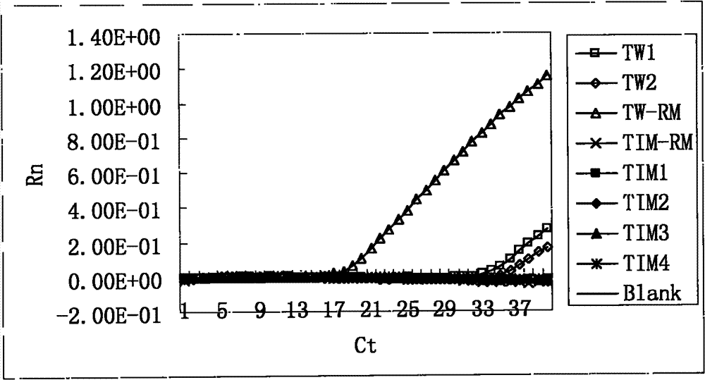 Standard molecule for detecting tilletia walkeri castebury&carris and construction method thereof