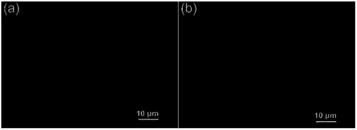 Single-silicon nanowire fluorescent chemical sensor for detecting hypochlorite and preparation method and application of single-silicon nanowire fluorescent chemical sensor