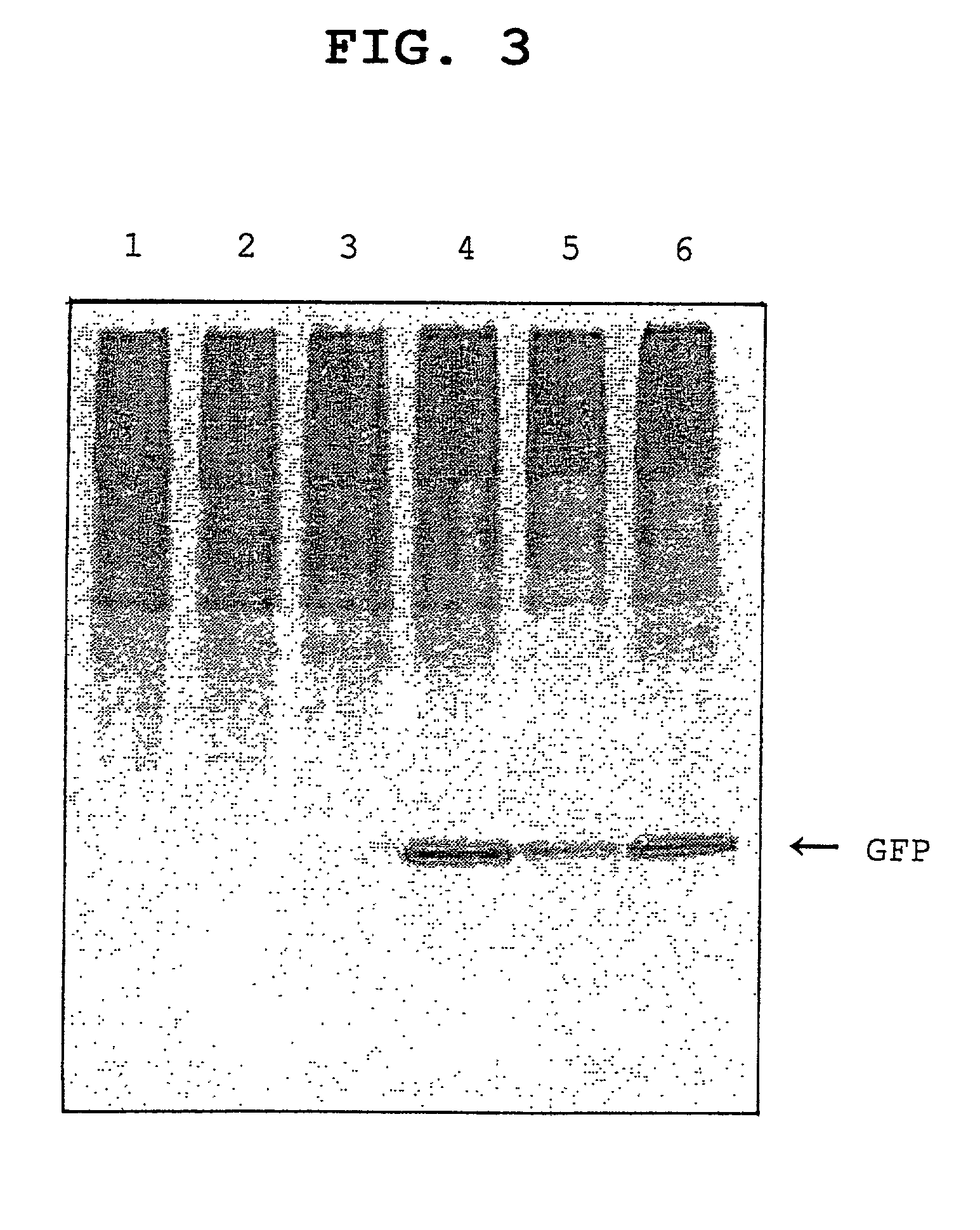 Composition for cell-free protein synthesis