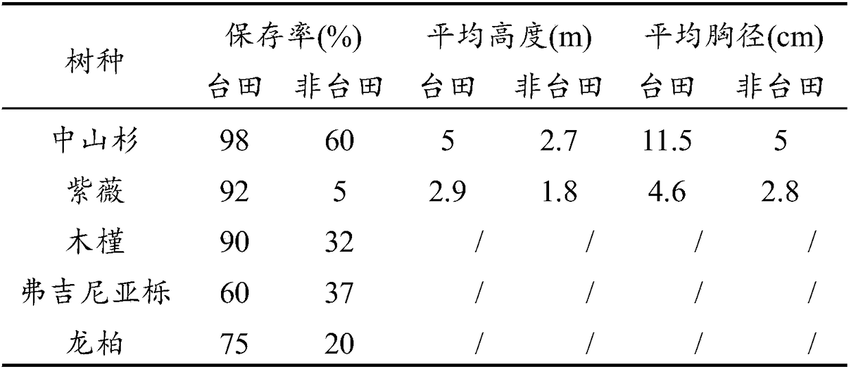 Method for platform field afforestation of coastal heavily saline-alkali soil