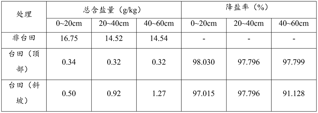 Method for platform field afforestation of coastal heavily saline-alkali soil