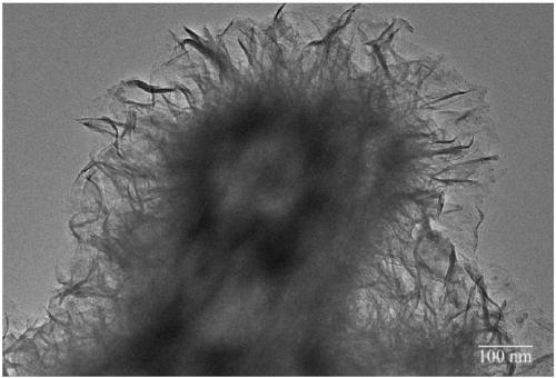 A hollow nickel molybdate nanoflower assembled from nanosheets and its preparation method