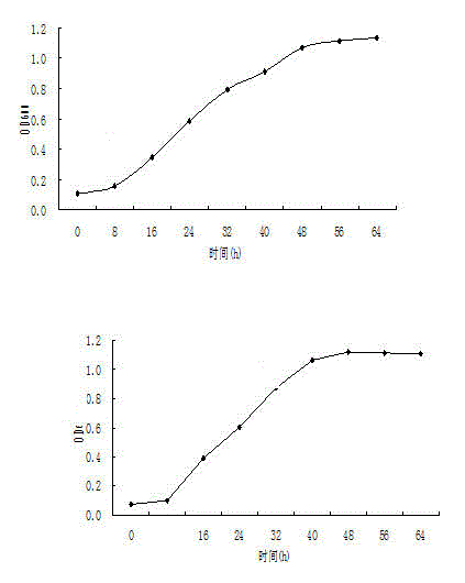 Method for improving salt resistance of turf by adopting reinforced garbage compost microbial agent