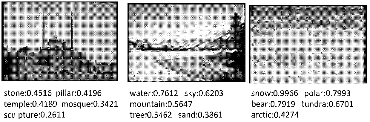 Method and device for automatic image labeling based on non-equal probability random search of directed graphs