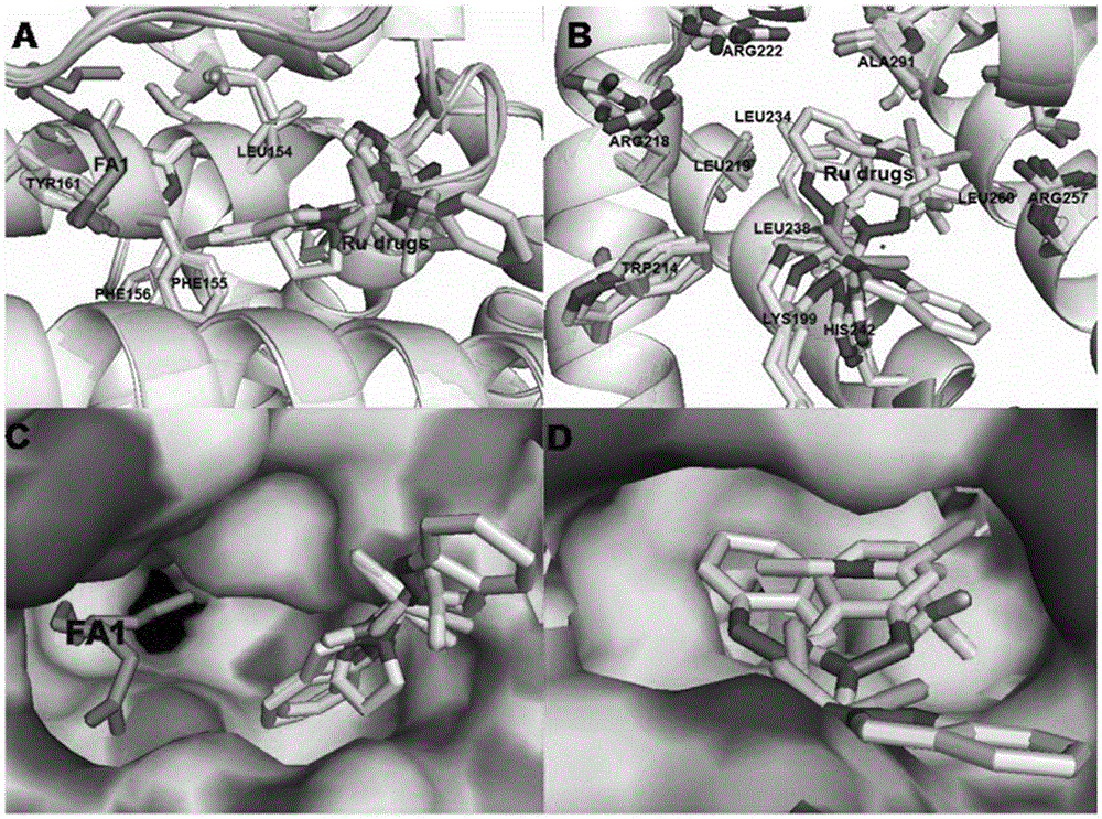 Preparation and application of human serum albumin-ruthenium inorganic drug complex