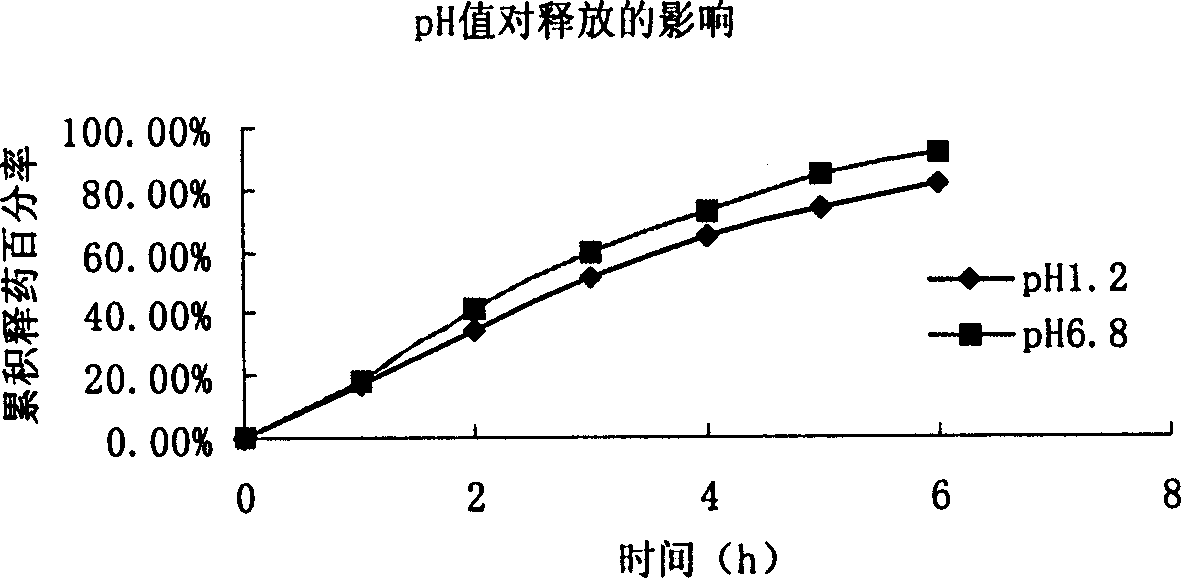 Water-soluble medicine particle-type slow-release composition, preparation and its preparing method