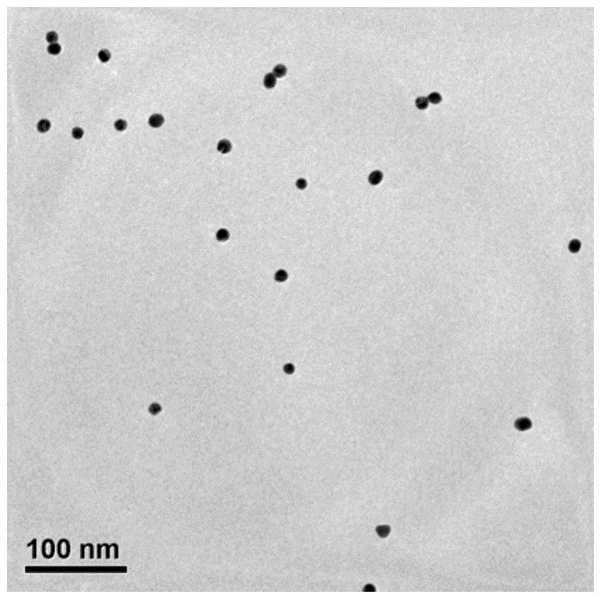 Method for detecting tervalent and hexavalent chromium ions simultaneously by use of gold nanoparticles