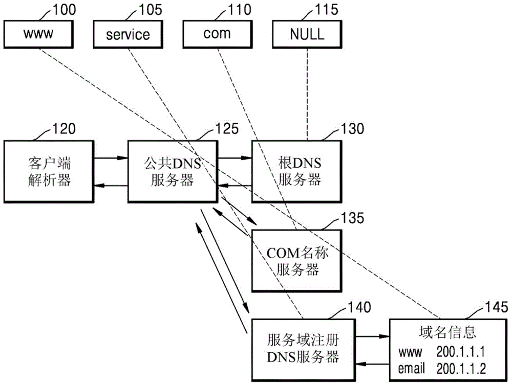 Domain name system (DNS) and domain name service method based on user information