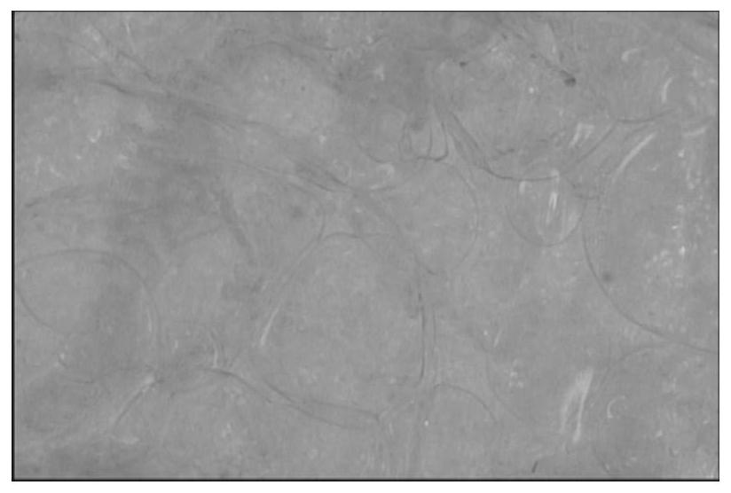 Method for preparing non-ironing multifunctional blended yarn by utilizing electrostatic spinning nanotechnology