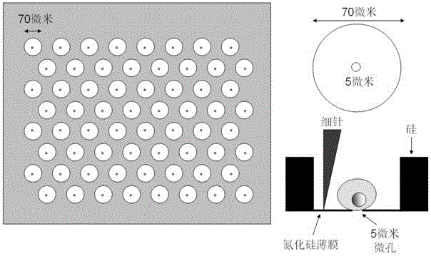 Enrichment device and method for rare cells