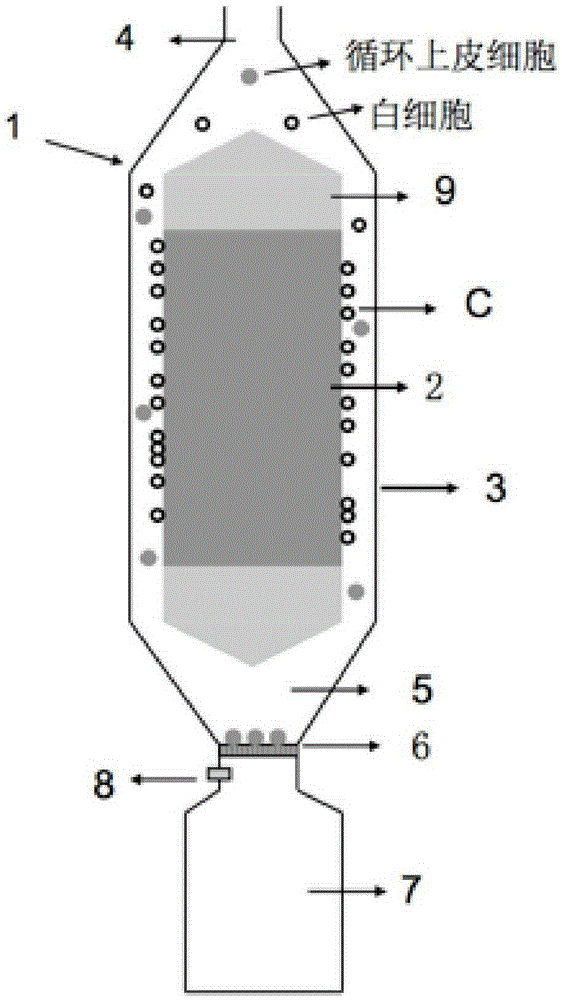 Enrichment device and method for rare cells