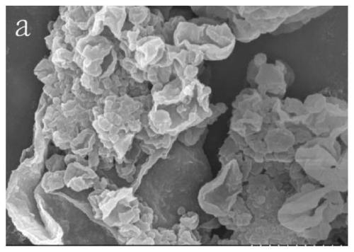 Polymer/inorganic nanoparticle composite material and preparation method thereof