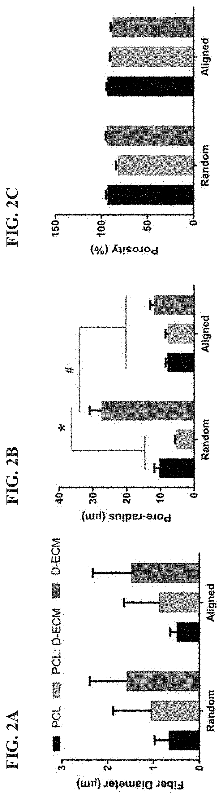 Aligned electrospun matrices of decellularized muscle for tissue regeneration