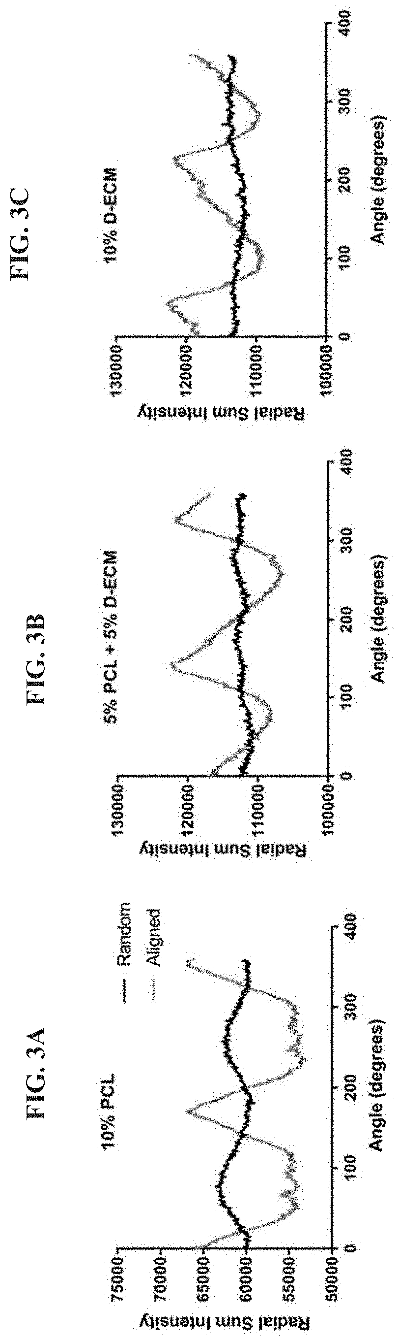 Aligned electrospun matrices of decellularized muscle for tissue regeneration