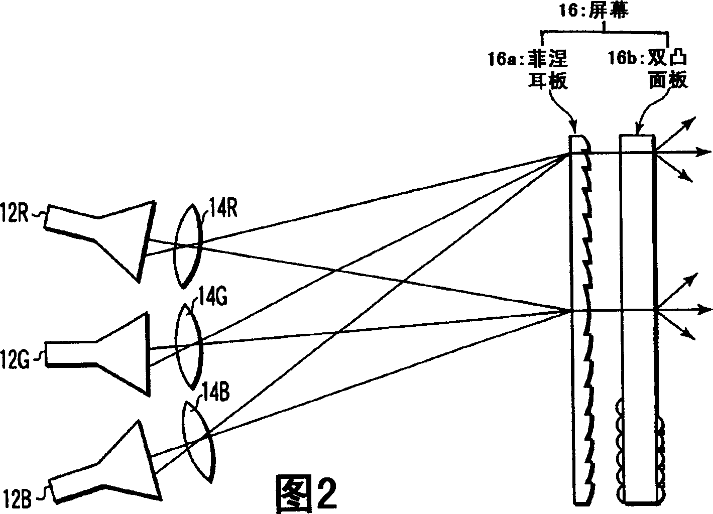 Projection display device and magnetic screen device