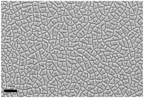 Non-noble metal amorphous water electrolysis anode material and in-situ growth preparation method thereof