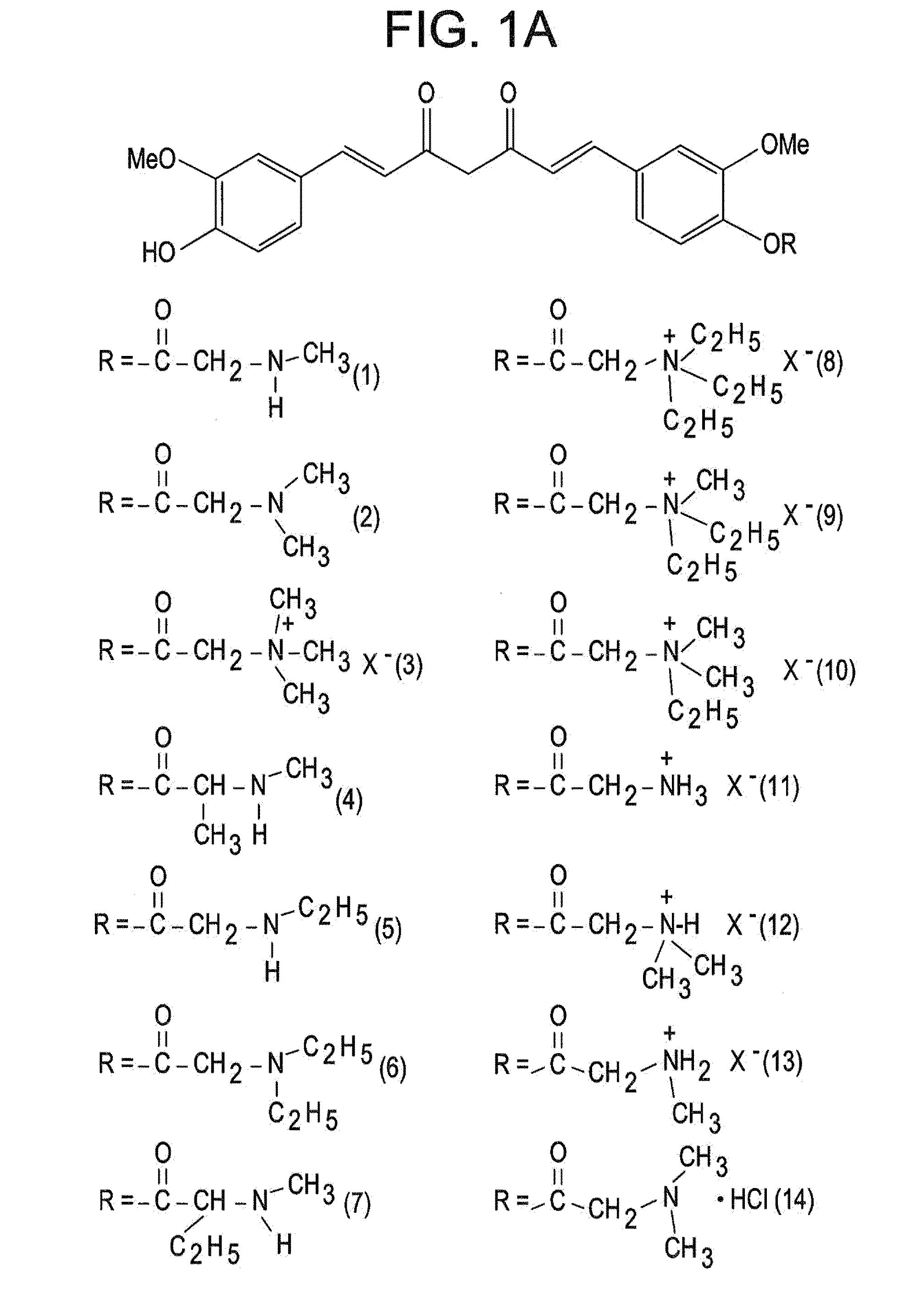 Curcumin Derivatives