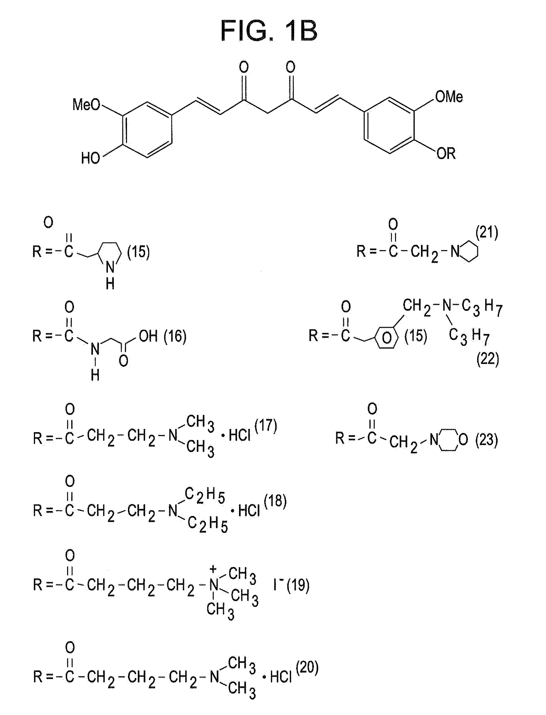 Curcumin Derivatives