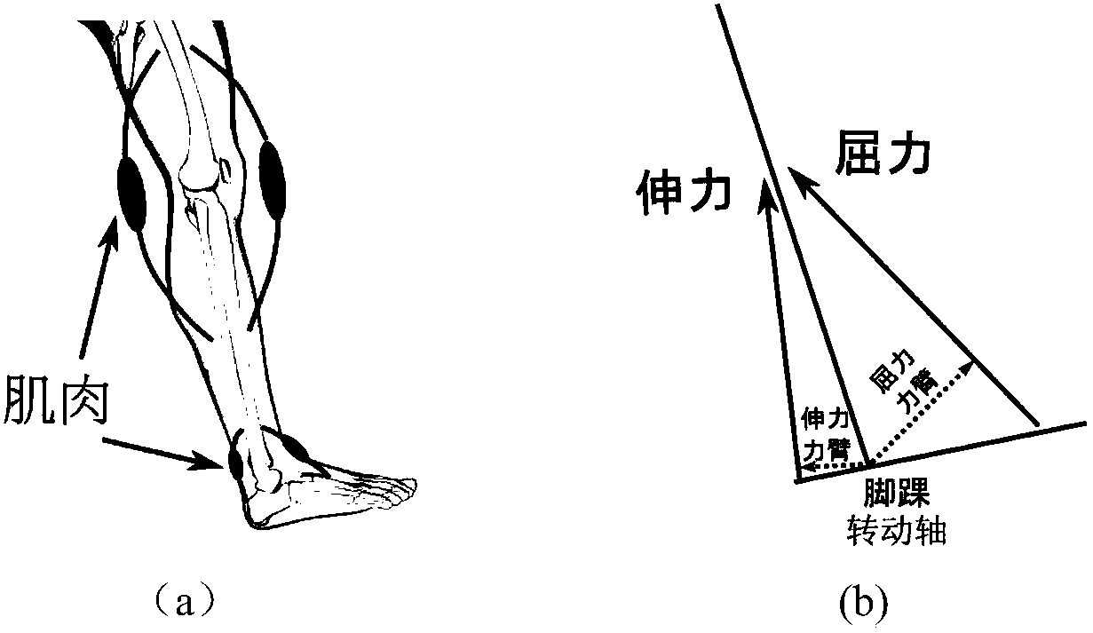 Motion simulation method of animation character under granular medium environment