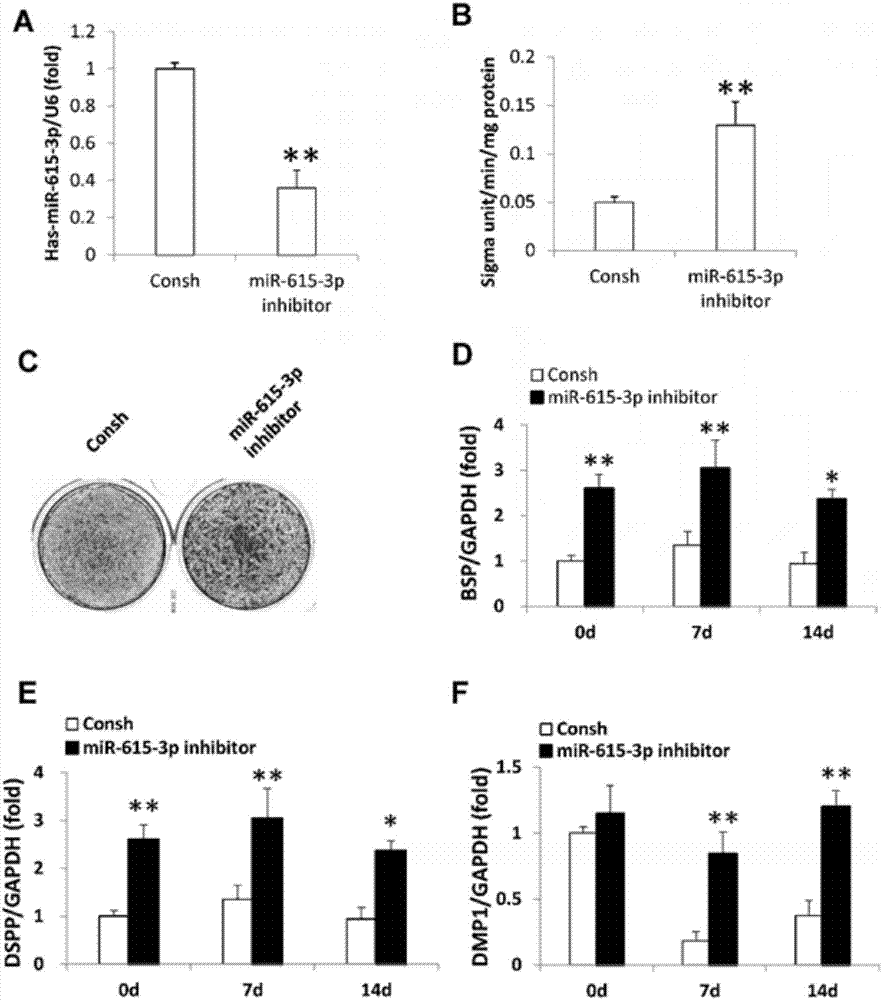 Application of miRNA