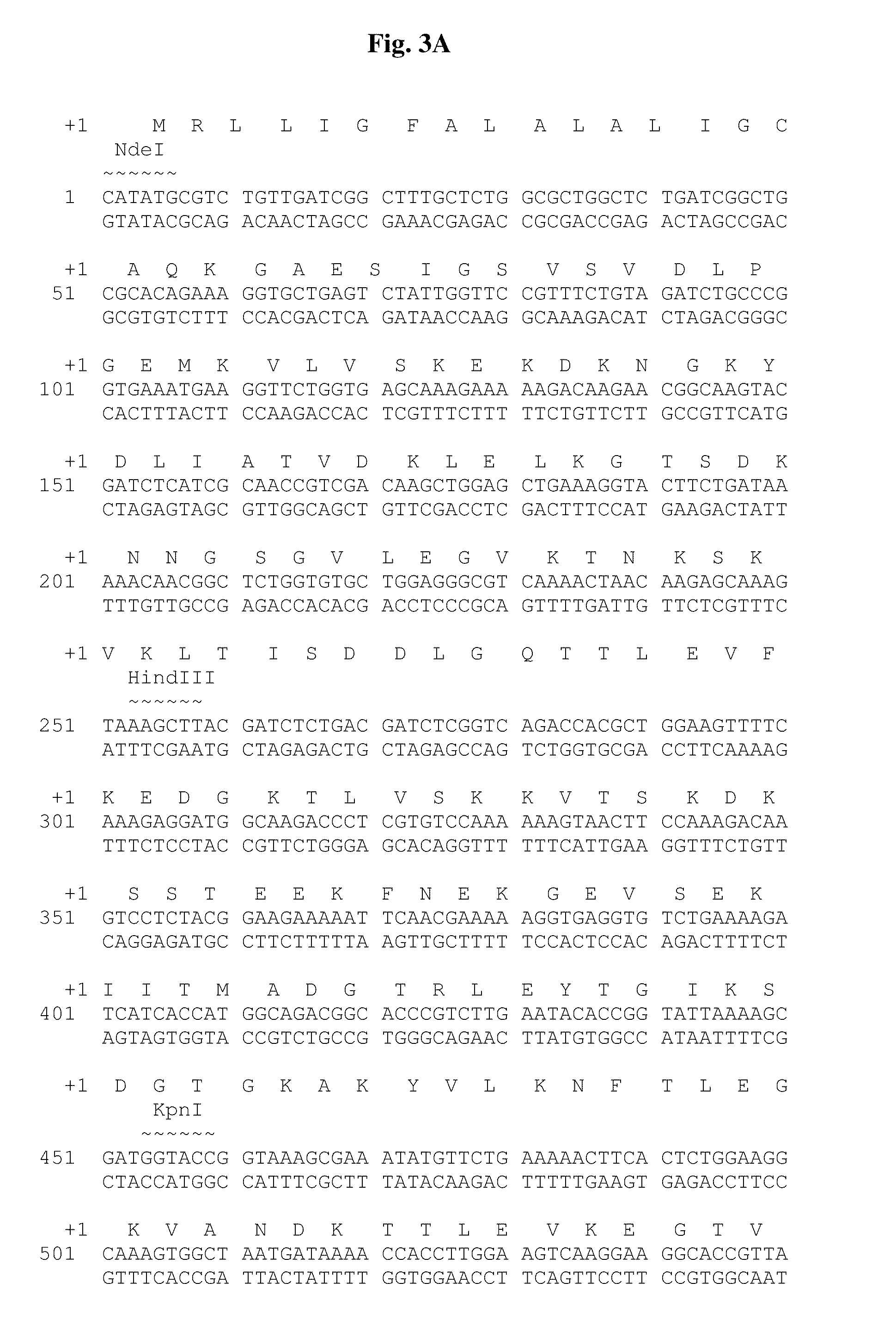 Chimeric ospa genes, proteins, and methods of use thereof