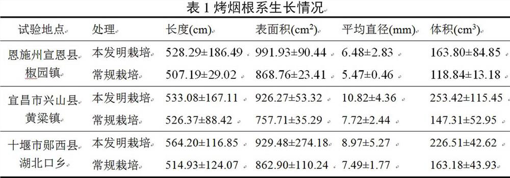 A cultivation method for promoting the root development of flue-cured tobacco in the early stage of growth