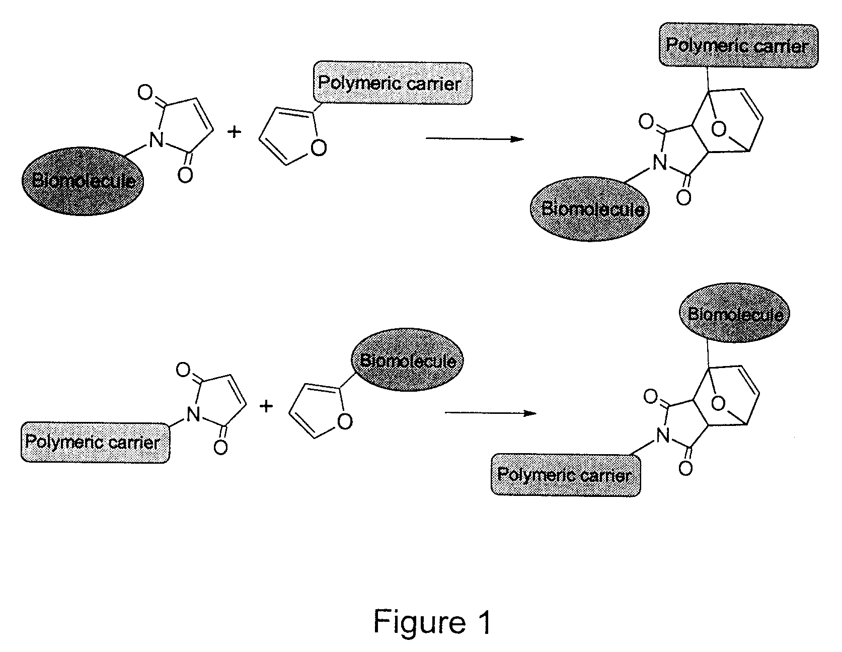 Method of biomolecule immobilization on polymers using click-type chemistry