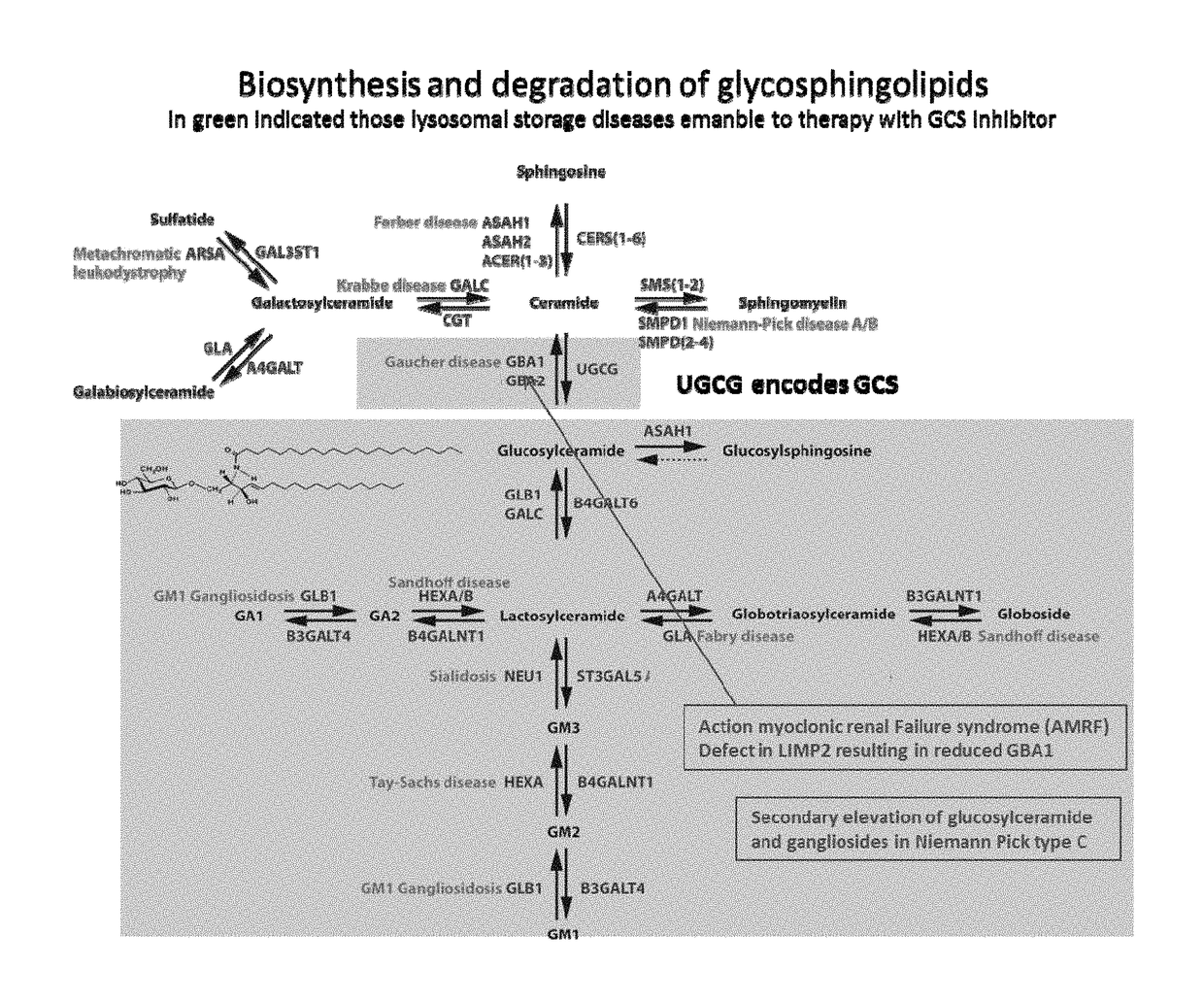 N-(5-((aryl or heteroaryl)methyloxy)pentyl)-substituted iminosugars as inhibitors of glucosylceramide synthase