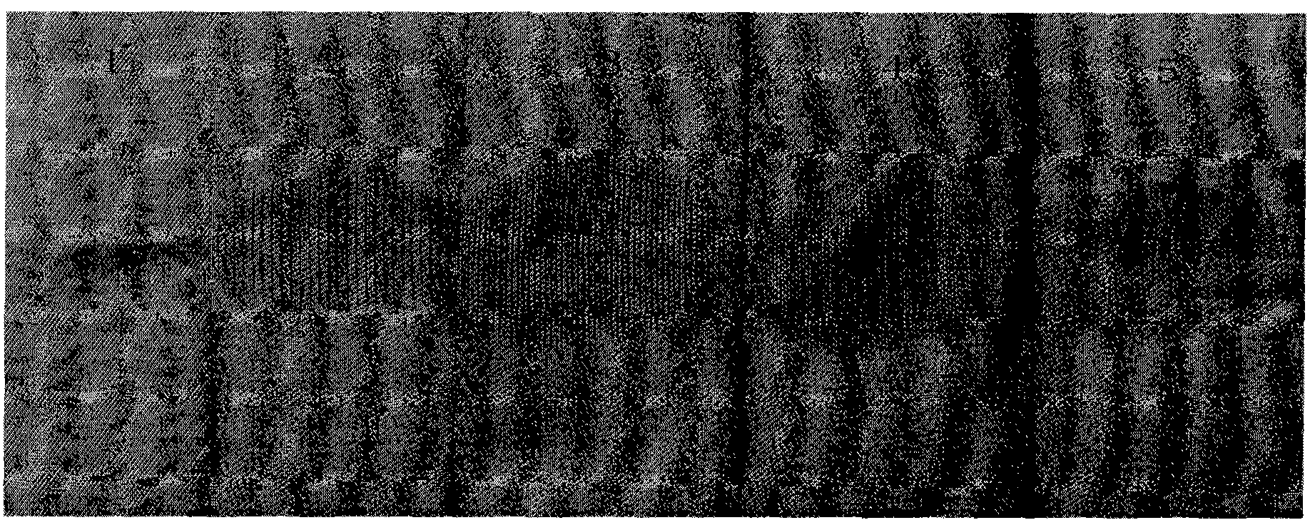 Woven fabric having functions of isomerism on double side, guiding sweat on single direction and rapidly drying and production method thereof