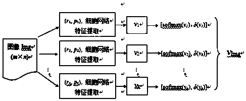 Image multi-scale feature extraction method based on cellular neural network