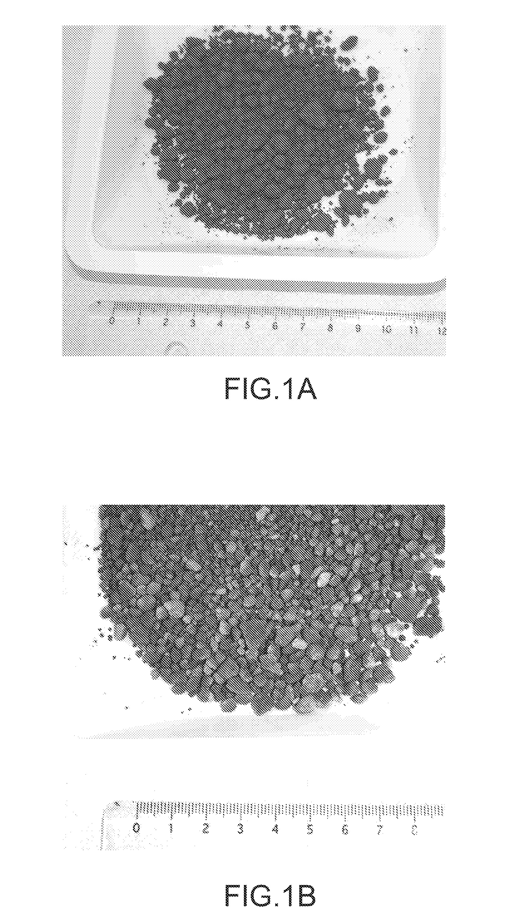 Method for preparing a composite material from waste and resulting material