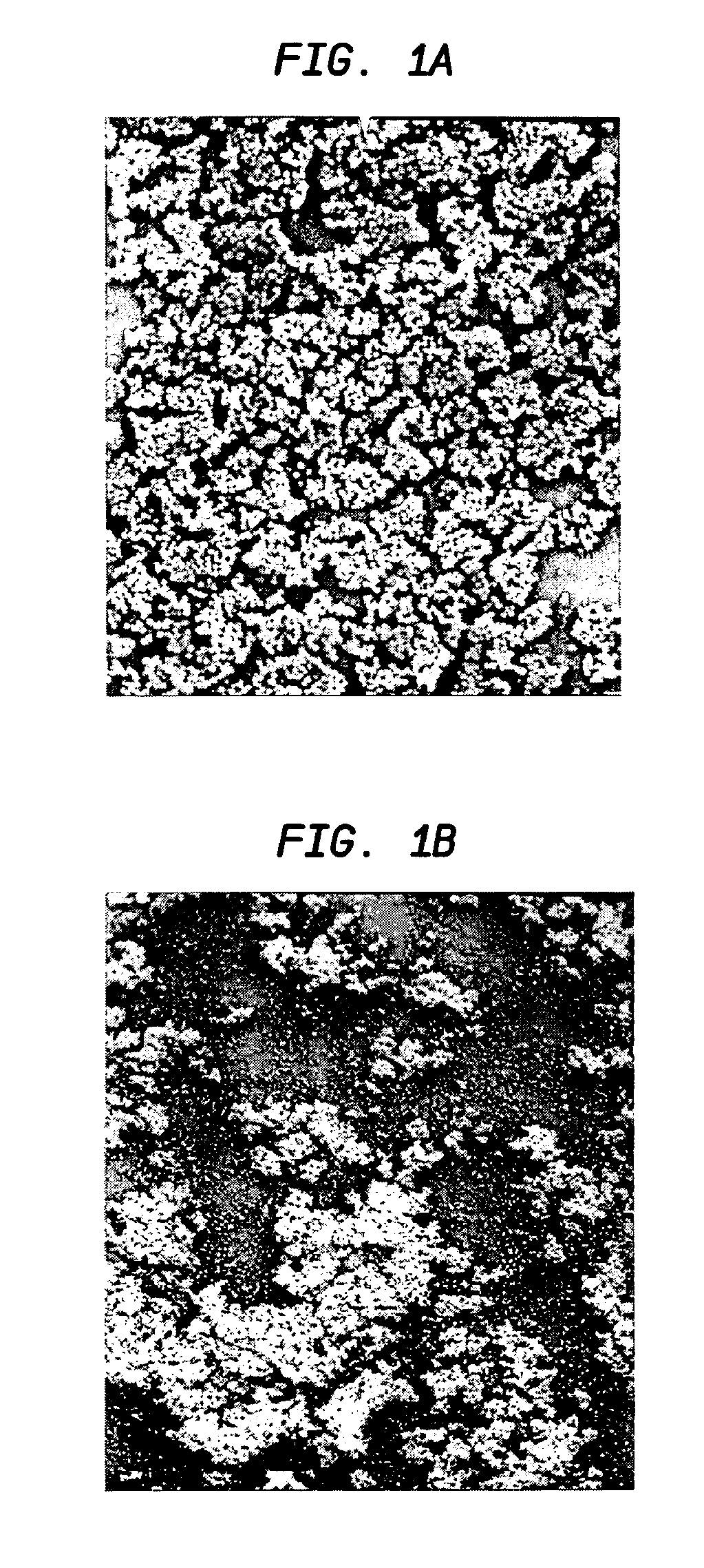 Enzyme disruption of bacterial biofilms