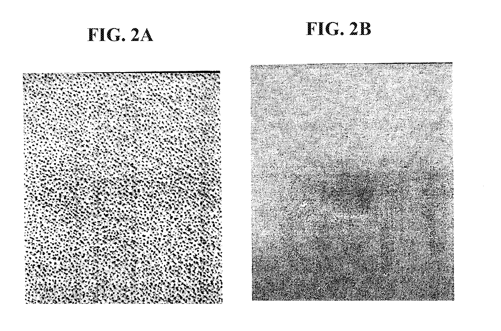 Enzyme disruption of bacterial biofilms