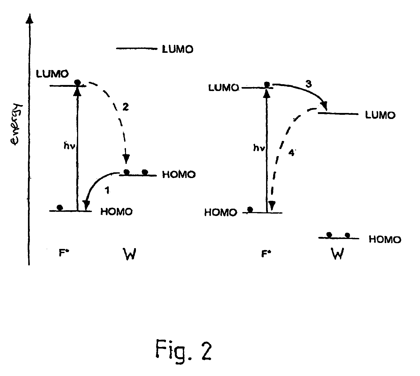 Specific detection of proteolytic enzymes