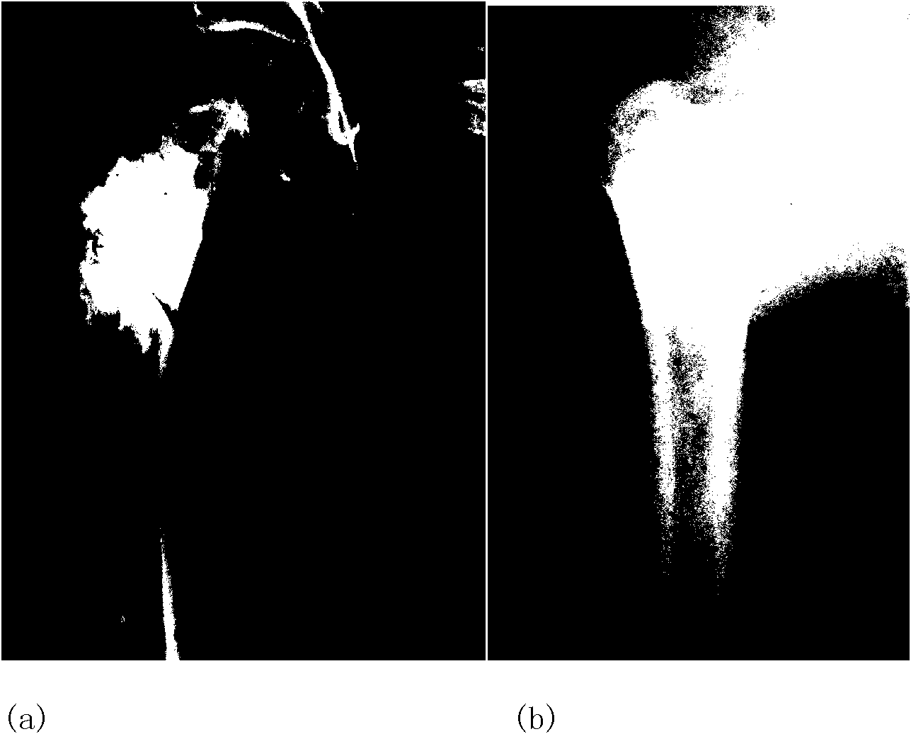 Beta-TCP porous material and preparation method thereof