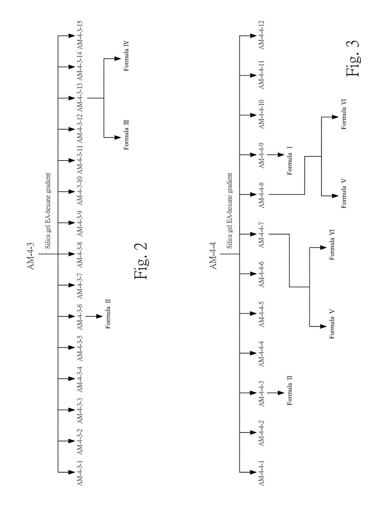 Compositions and methods of antiallergic phorbol ester and phorbol derivatives as the main active ingredients from the seeds of aquilaria malaccensis