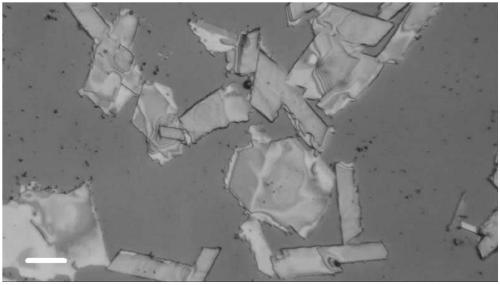 Preparation method for preparing graphene dispersion liquid by electrochemical swelling