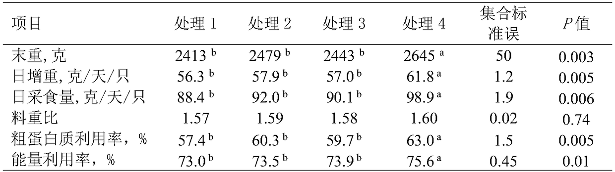 Synbiotic oral spray preparation for hatched young meat chickens and preparation method thereof