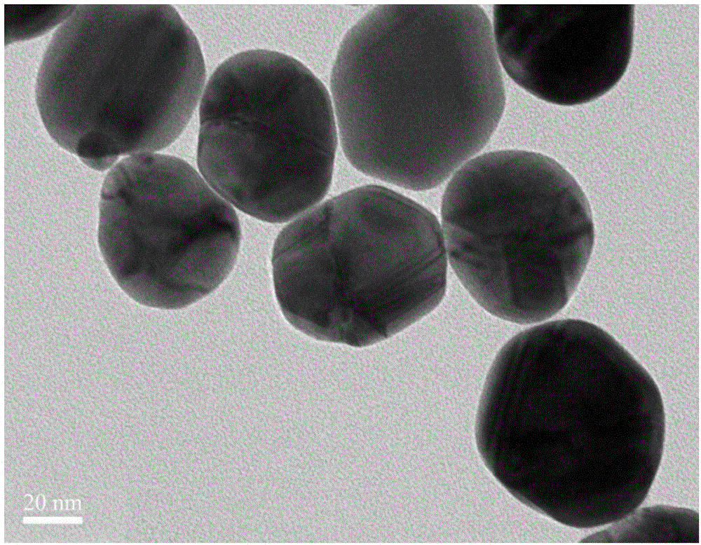 Method capable of quickly detecting paraquat in beverages