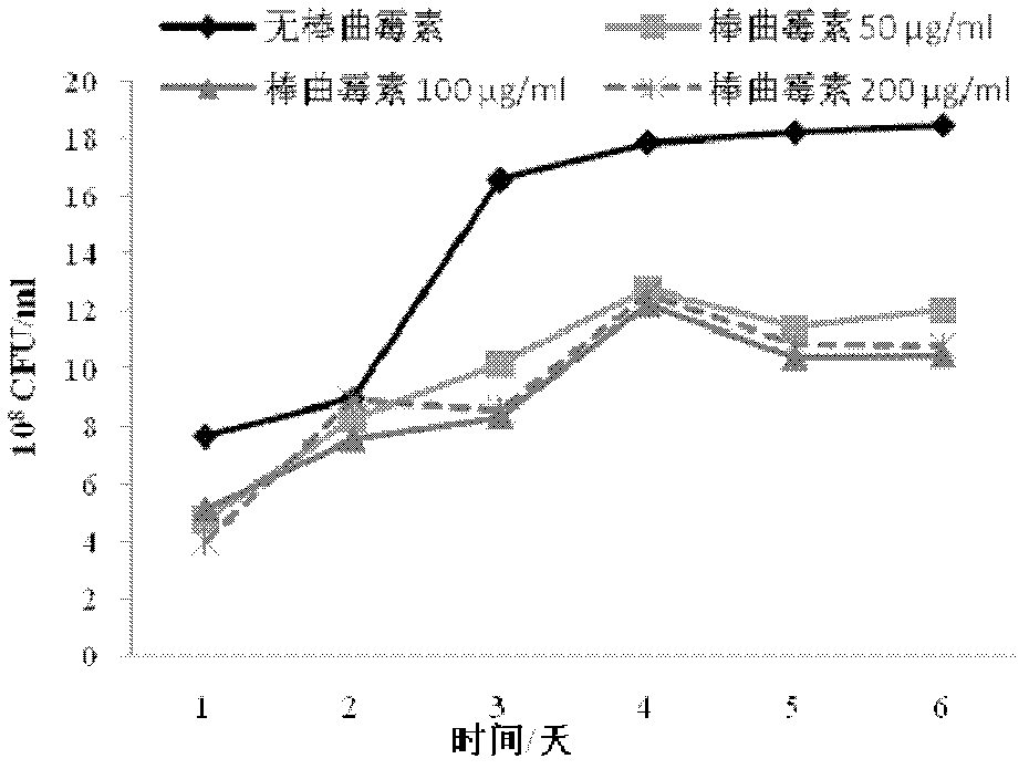 Application of Candida guilliermondii strain in elimination of patulin