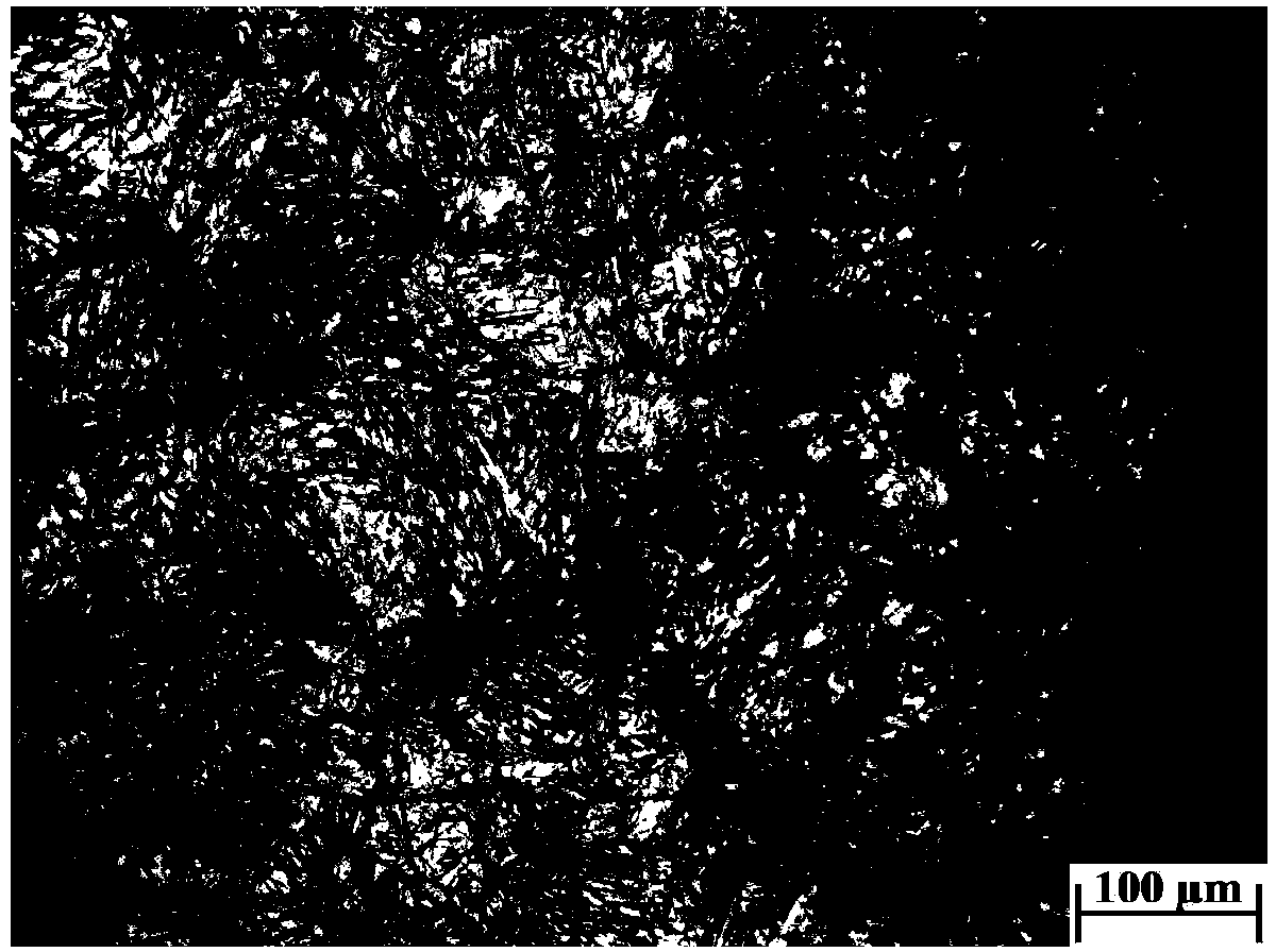 Method for simultaneously displaying bearing steel austenite grain boundary and transgranular martensite