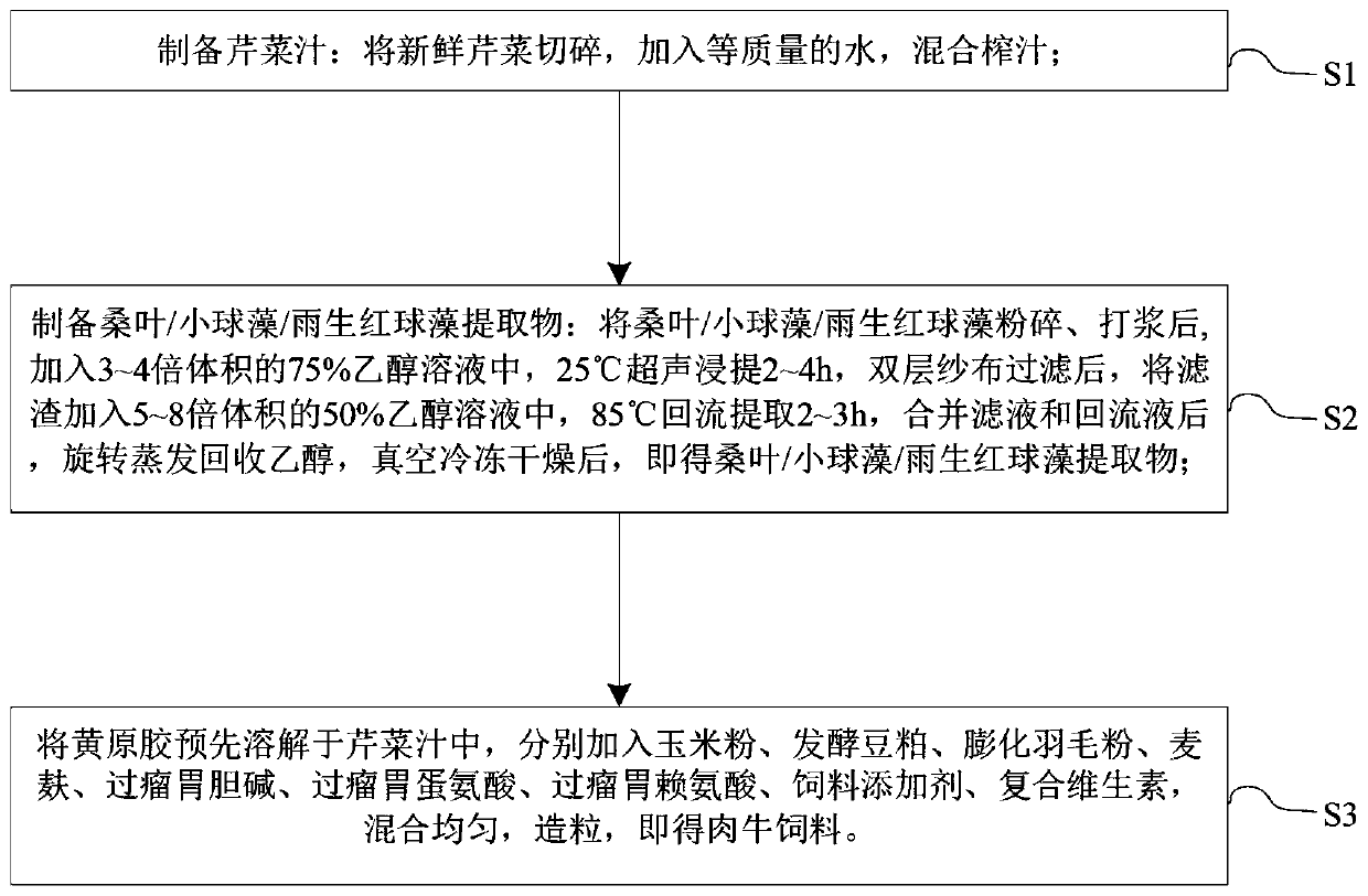 Beef cattle feed and preparation process thereof