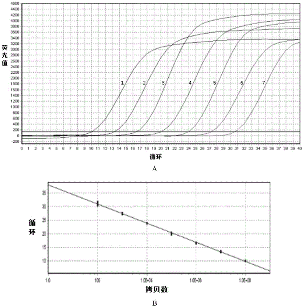 DHAV (duck hepatitis A virus) typing detection method based on fluorescent quantitative PCR (polymerase chain reaction) melting curve method