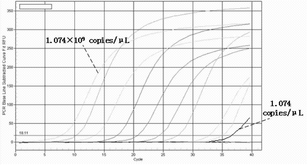 Detection method for EV71virus in environmental water body