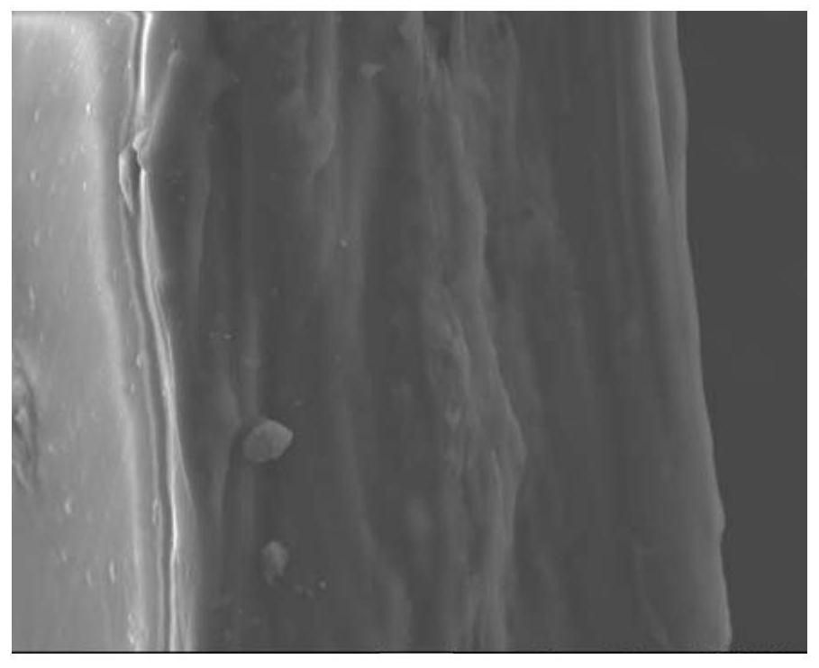 A film-forming method for a polymer-based solid electrolyte