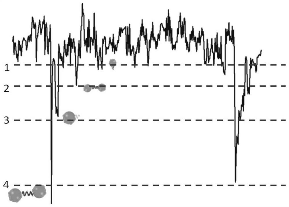 MiRNA detection method based on a solid nanopore sensor, detection probe and kit.